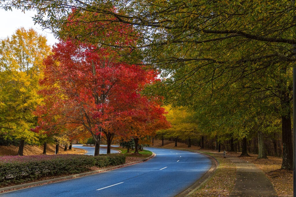 Looking for Senior Home Care in Alpharetta? Senior Solutions Home Care provides companion care, personal care, dementia care, skilled nursing care, physical therapy, and more. Call today!