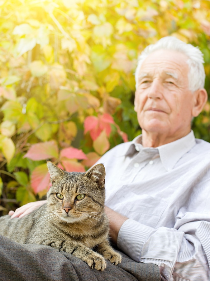 Veterans Care at Home Brownsville TN - What Are The Best Pets For Seniors?